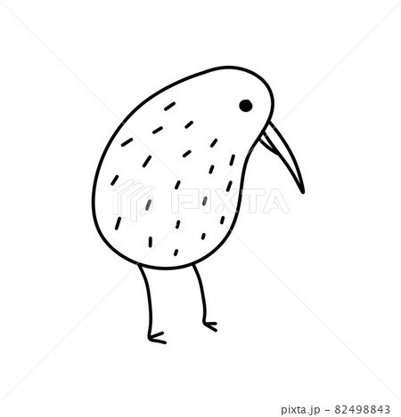 Kiwi bird. Rare Australian animal. Black and... - Stock Illustration  [82498843] - PIXTA