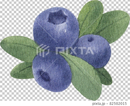 Blueberry decor watercolor Blueberry decor watercolor 82502015