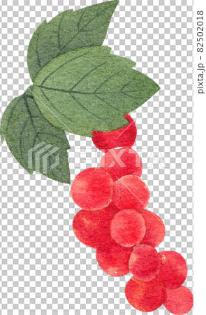 grape decor watercolor grape decor watercolor 82502018
