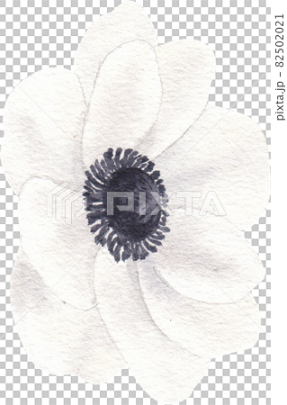 Floral winter mood decor watercolor Floral winter mood decor watercolor 82502021