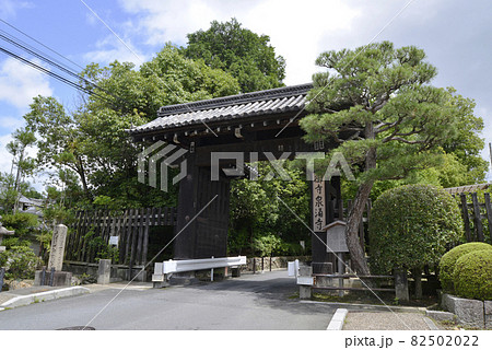 泉涌寺　総門　京都市東山区 82502022
