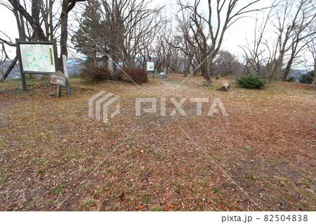 佐和山山頂の佐和山城本丸跡 佐和山山頂の佐和山城本丸跡 82504838