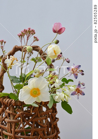 秋に咲くかわいい草花とかご　　　　　　　 82505289