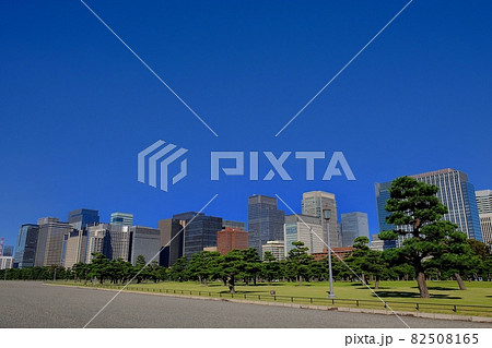 皇居外苑の松林と丸の内、大手町の高層ビル群 皇居外苑の松林と丸の内、大手町の高層ビル群 82508165