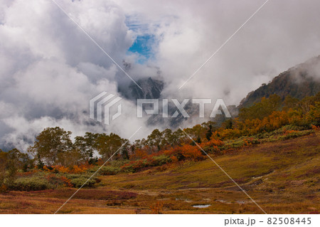 美しい栂池自然園の美しい紅葉・湧き上がる雲と白馬大雪渓(展望湿原) 長野県小谷村 美しい栂池自然園の美しい紅葉・湧き上がる雲と白馬大雪渓(展望湿原) 長野県小谷村 82508445