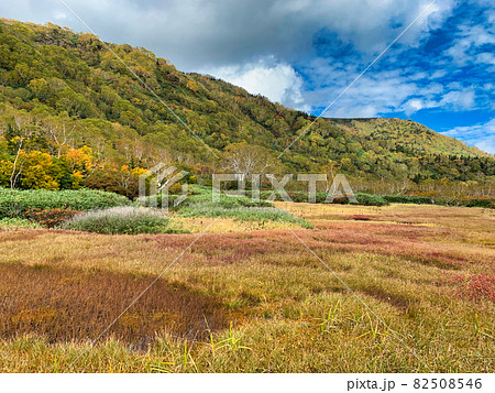 美しい栂池自然園の美しい紅葉 長野県小谷村 美しい栂池自然園の美しい紅葉 長野県小谷村 82508546