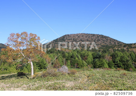 志賀高原山ノ内町前山の風景 82509736