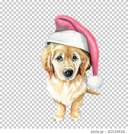 サンタの帽子を被った犬 手描き水彩画 のイラスト素材