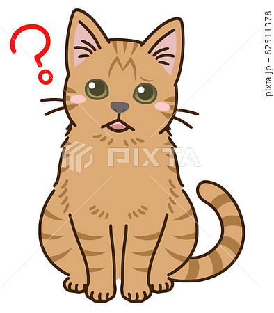 疑問に思う猫(茶トラ) 疑問に思う猫(茶トラ) 82511378