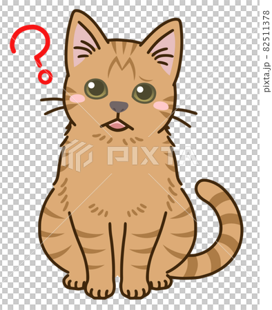 疑問に思う猫(茶トラ) 疑問に思う猫(茶トラ) 82511378
