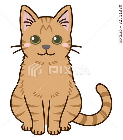 猫(茶トラ) 猫(茶トラ) 82511380