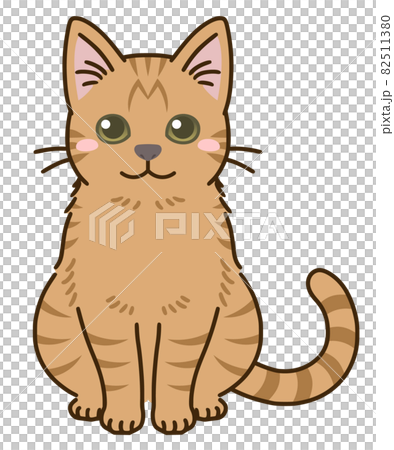 猫(茶トラ) 猫(茶トラ) 82511380