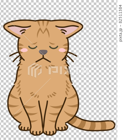 Depressed cat (tea tabby) Depressed cat (tea tabby) 82511384