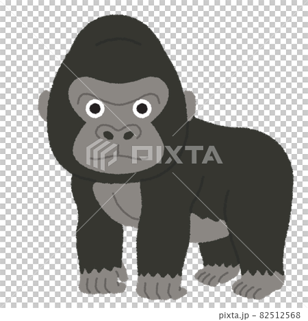 ゴリラのイラスト 82512568