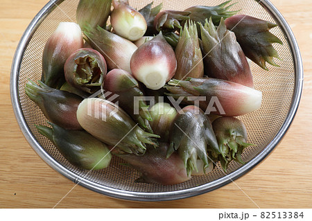 採れたてのミヨウガ 採れたてのミヨウガ 82513384