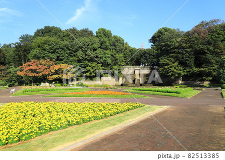 川口市立グリーンセンター　花壇広場の滝と大噴水 82513385