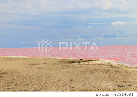 View of the pink salty Syvash lake in Kherson region, Ukraine 82514031