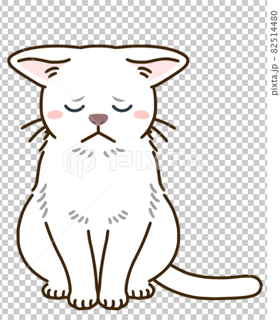 落ち込む猫（白） 82514480