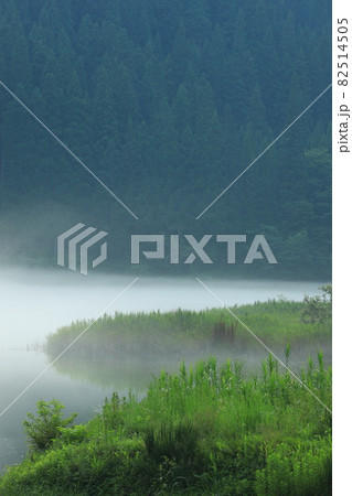 霧幻峡の渡し 霧 82514505