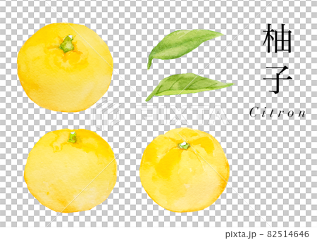 ゆずの水彩セットイラスト　冬至　果物　他複数バリエーションあります 82514646