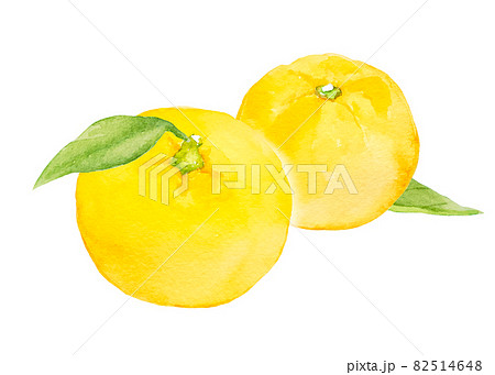 ◆柚子＊◆ Yuzu's watercolor illustrations, winter - Stock