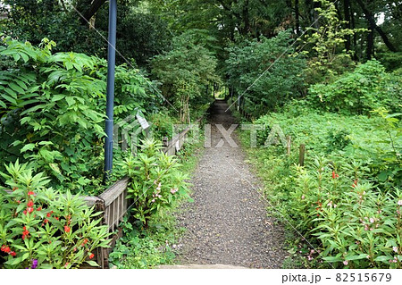 清瀬　せせらぎ公園 82515679