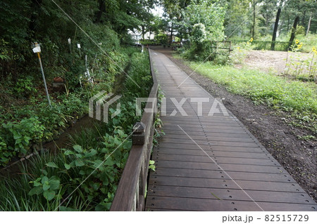 清瀬 せせらぎ公園の写真素材