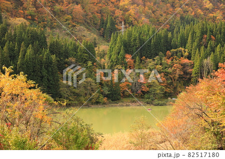 霧幻峡の渡し　紅葉 82517180