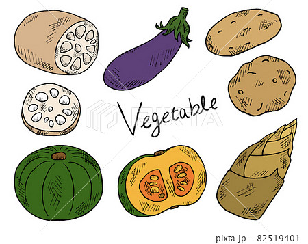 秋野菜や根菜の手書きイラストイメージのイラスト素材