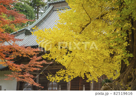 観音堂をバックにした紅葉【岩殿観音正法寺】／埼玉県東松山市 82519616