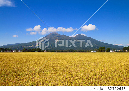 稲穂と磐梯山（福島県・猪苗代町） 82520653