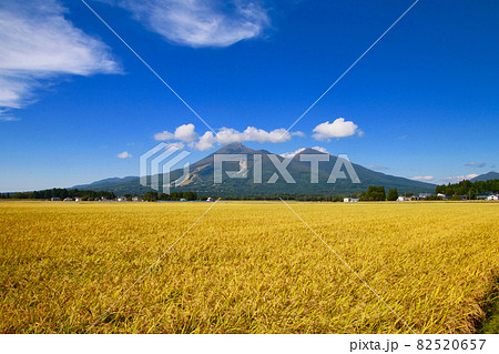 稲穂と磐梯山(福島県・猪苗代町) 稲穂と磐梯山(福島県・猪苗代町) 82520657