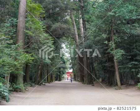 鹿島神宮9　奥参道 82521575