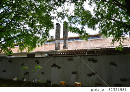 こもれび森のイバランドへ行きました #29 こもれび森のイバランドへ行きました #29 82521981