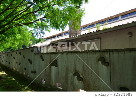 こもれび森のイバランドへ行きました　＃27 82521985