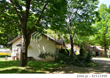 こもれび森のイバランドへ行きました　＃21 82521996