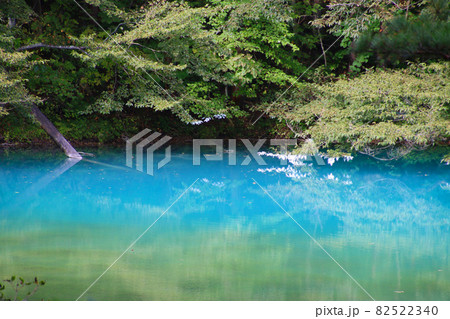 青沼・五色沼自然探勝路（福島県・北塩原村） 82522340