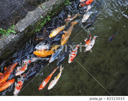 渡邉邸の外観【新潟県関川村】 渡邉邸の外観【新潟県関川村】 82523035