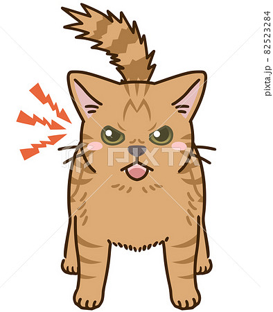 威嚇する猫(茶トラ) 威嚇する猫(茶トラ) 82523284