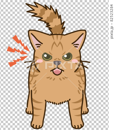 威嚇する猫(茶トラ) 威嚇する猫(茶トラ) 82523284