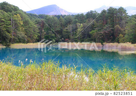 るり沼・五色沼自然探勝路（福島県・北塩原村） 82523851