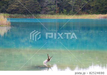 弁天沼・五色沼自然探勝路（福島県・北塩原村） 82524690