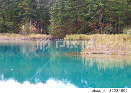 弁天沼・五色沼自然探勝路（福島県・北塩原村） 82524692
