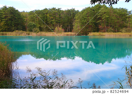 弁天沼・五色沼自然探勝路（福島県・北塩原村） 82524694