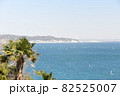 三浦海岸 82525007