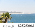 三浦海岸 82525008