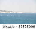 三浦海岸 82525009
