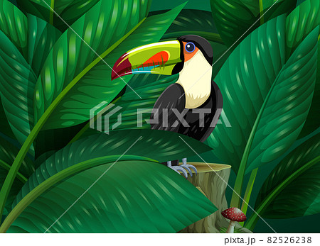 Toucan hidden in the tropical leaves background Toucan hidden in the tropical leaves background 82526238