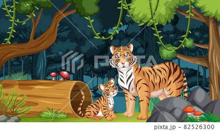 Tiger family in forest landscape background Tiger family in forest landscape background 82526300
