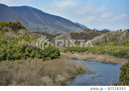 冬の小瀬川上流 82526393